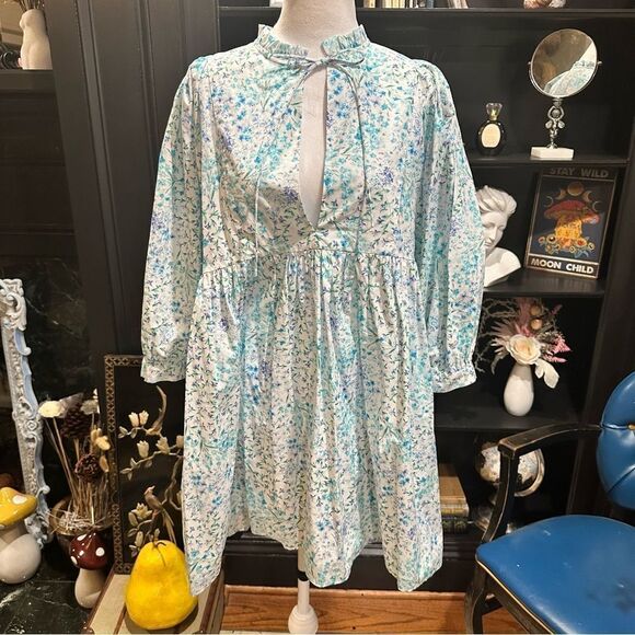 Zara Bloggers Favorite Blue Floral Poplin Dress Size Small - Picture 2 of 13